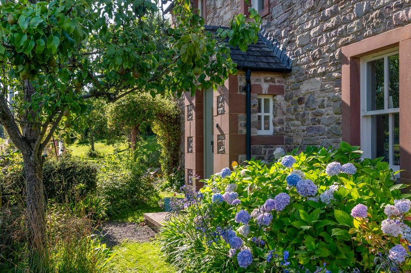 View of front of house with open green front door, hydrangeas, pear tree and archway